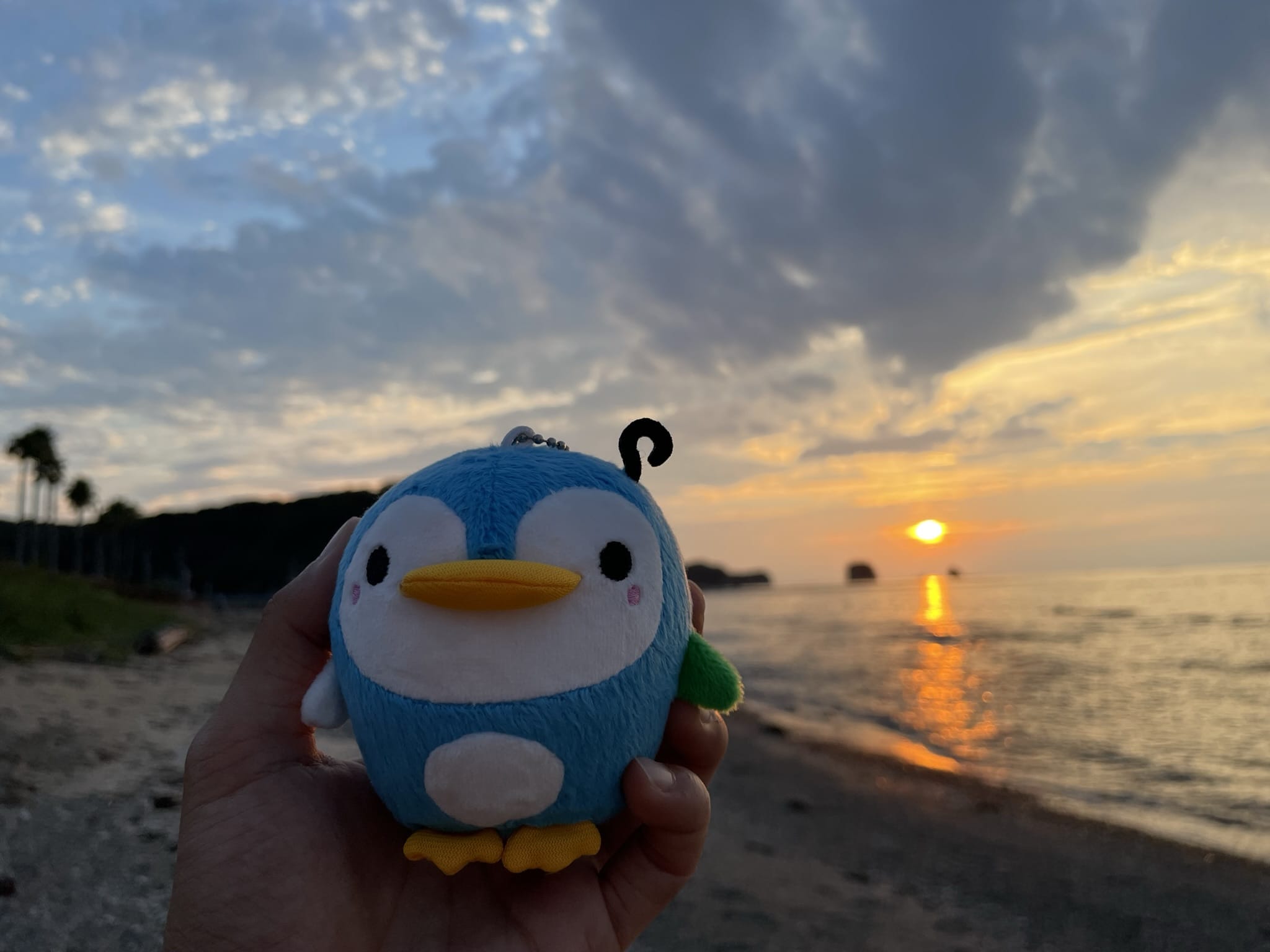 しらぺん!和歌山県南紀白浜ご当地キャラクター【グッズ販売場所など】 - 地球一の好き